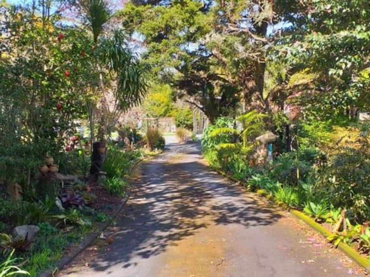 Waimoana Garden Accommodation Whangarei Exterior foto